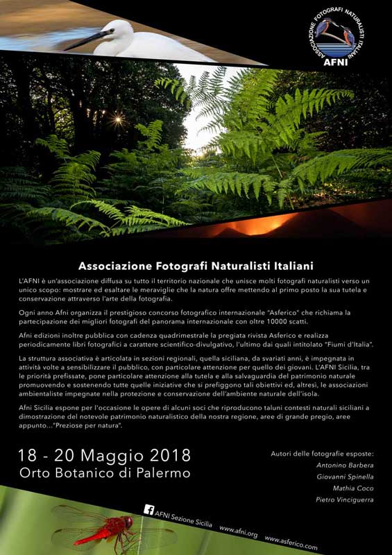 Mathia Coco_Preziose-per-Natura