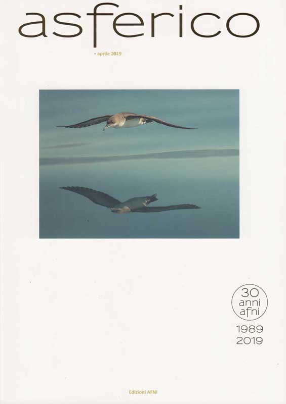 Mathia Coco_Asferico n.60