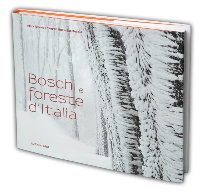 2020_12-Boschi e Foreste d'Italia-AFNI-cover