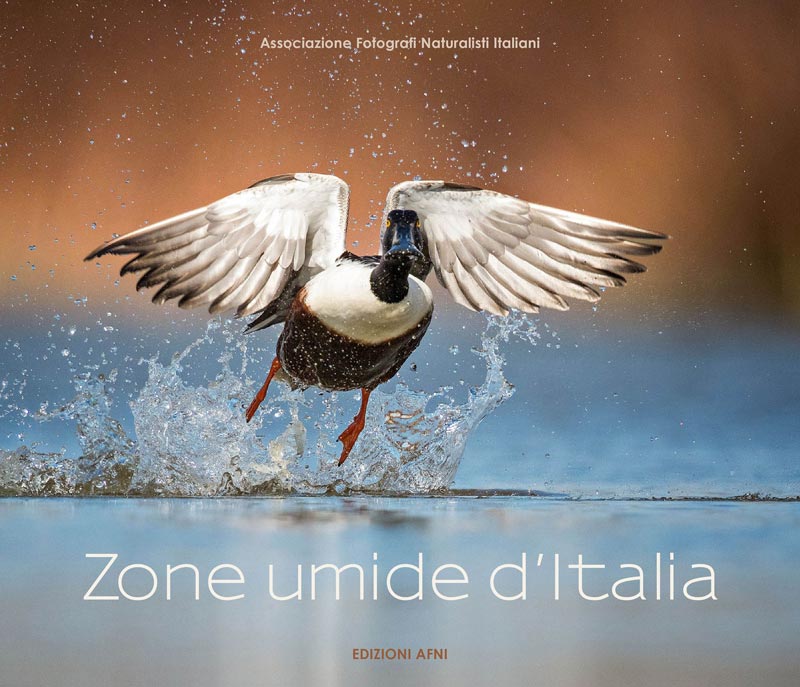 2022_11_28-Zone Umide d'Italia-AFNI-cover