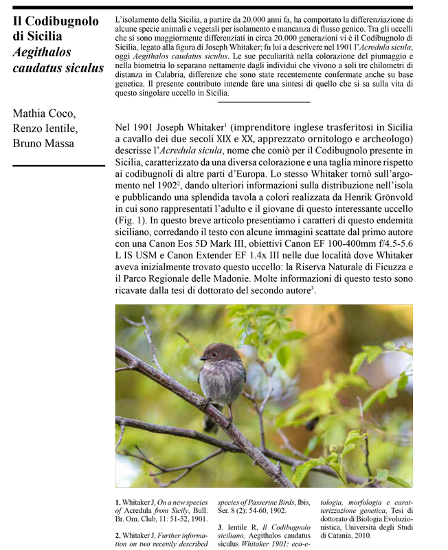 2022_02_01-Codibugnolo-di-Sicilia---Naturalmente-scienza-cover