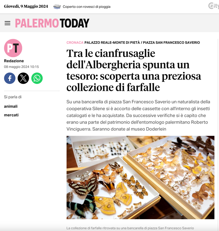 2024_05_09-Coll-Vinciguerra---Palermo-Today